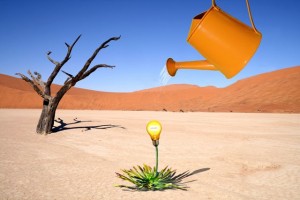 Image of a light bulb emerging from the ground and being watered by a watering can